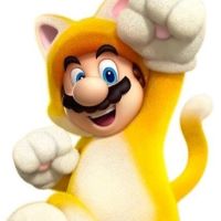 mario-gato